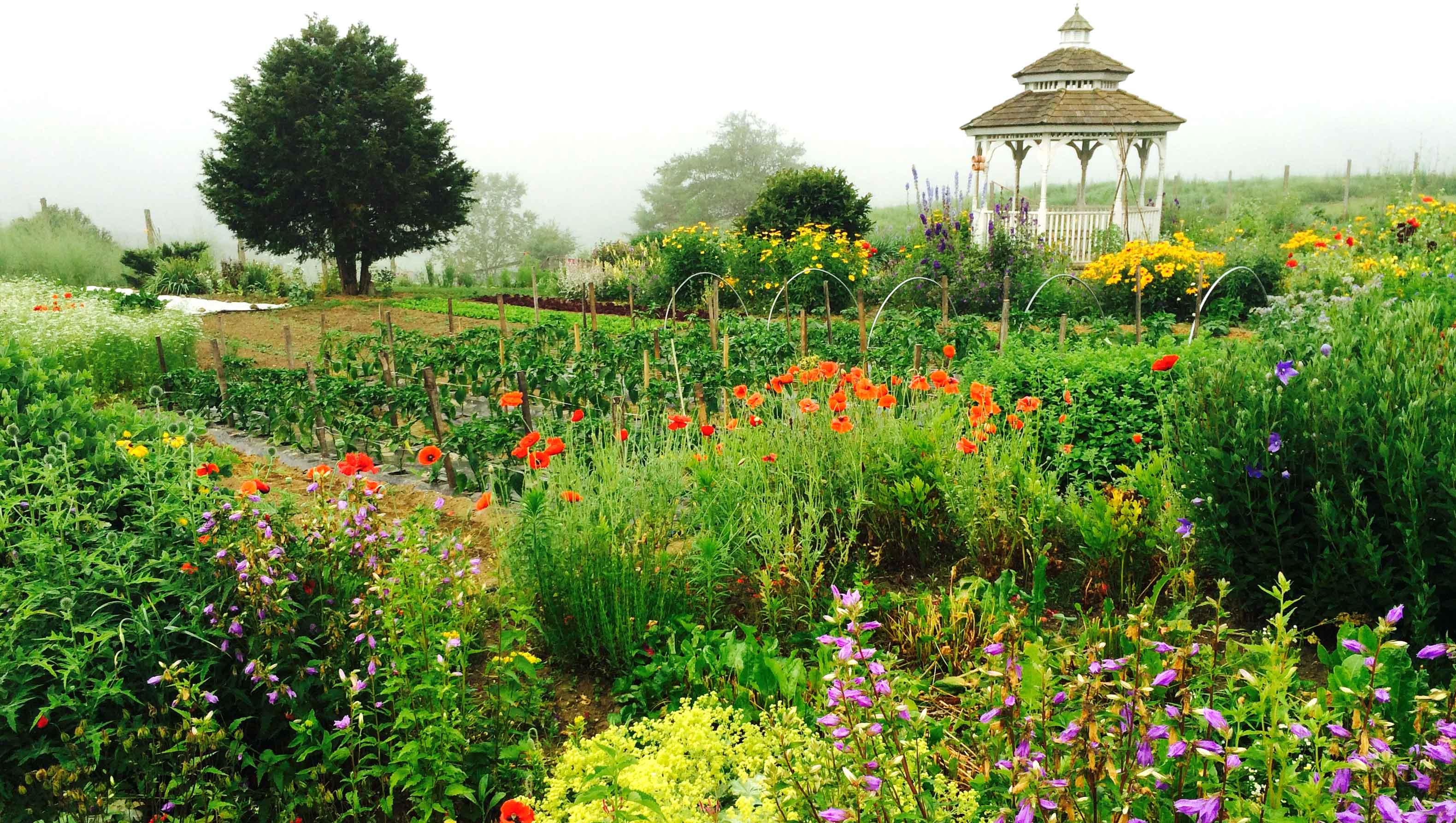 Karme Choling Garden