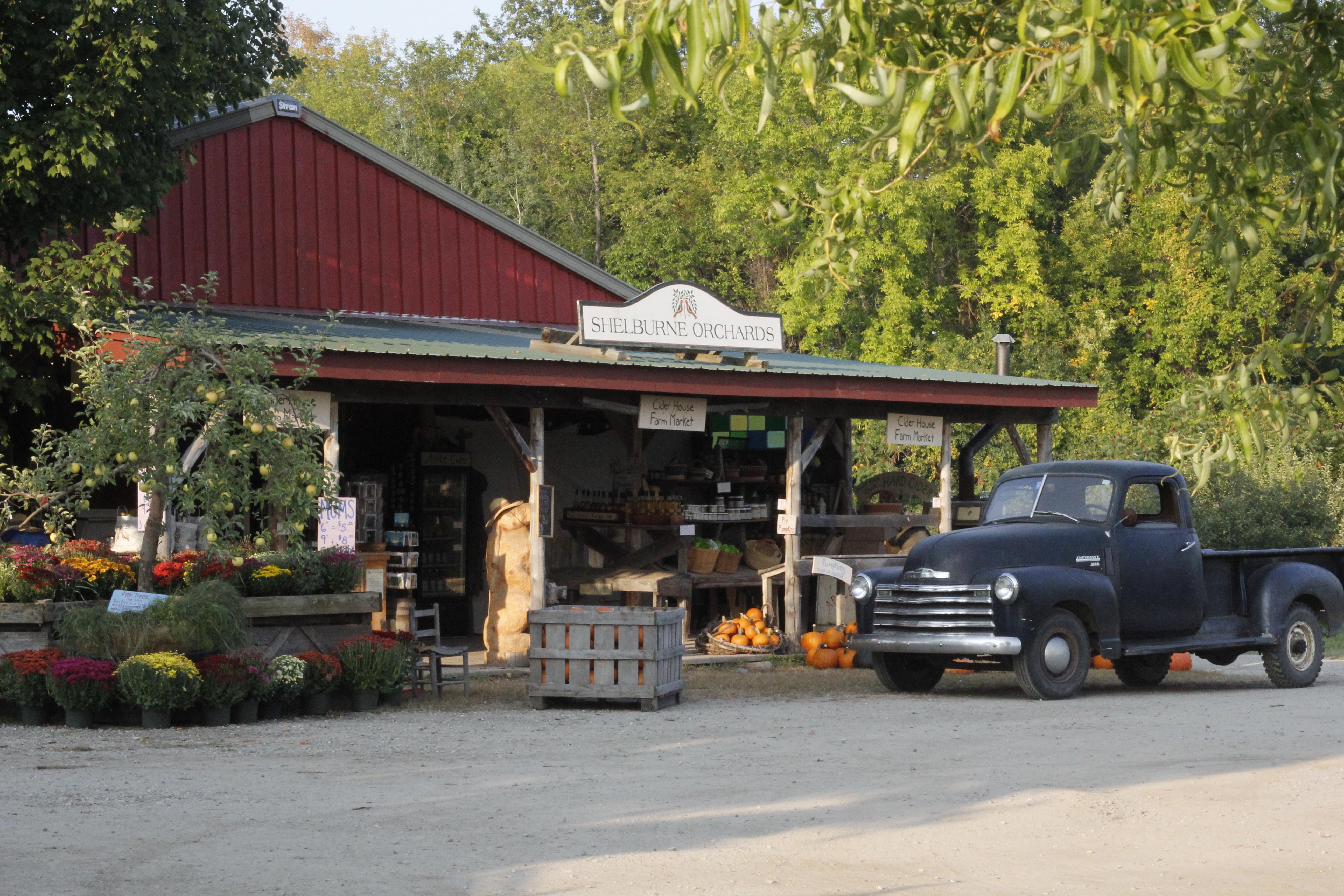 A photo of our orchard store in the apple season with mums, pumpkins and a 49 chevy out front for decoration. 