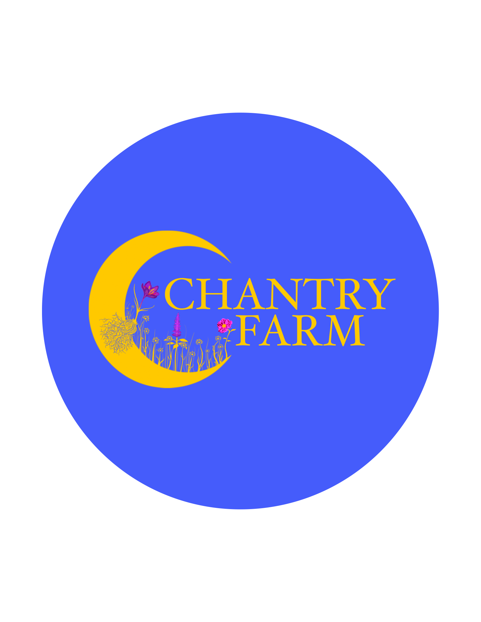 CF Logo