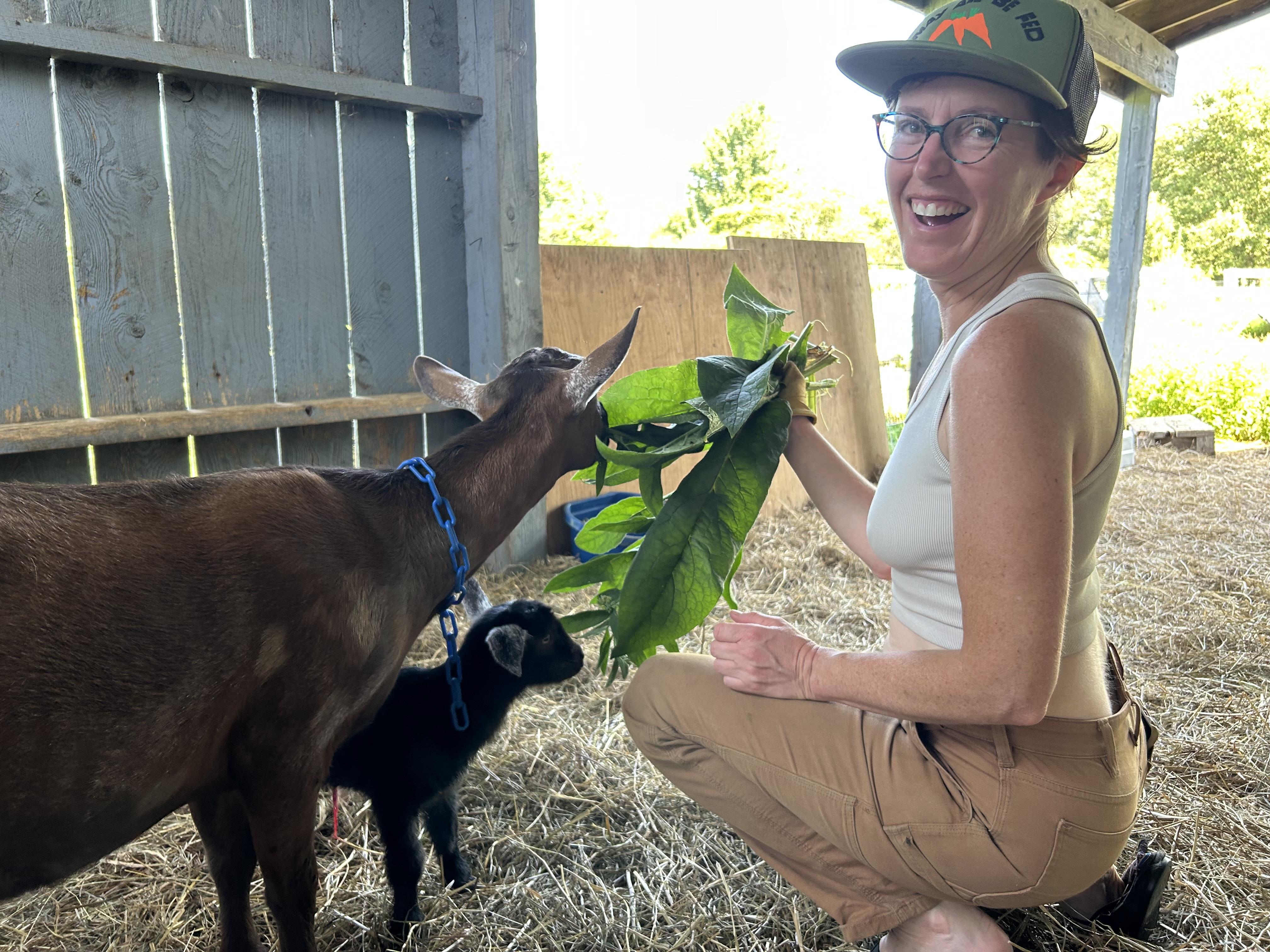 Brown mama goat, black baby goat, happy goat owner 