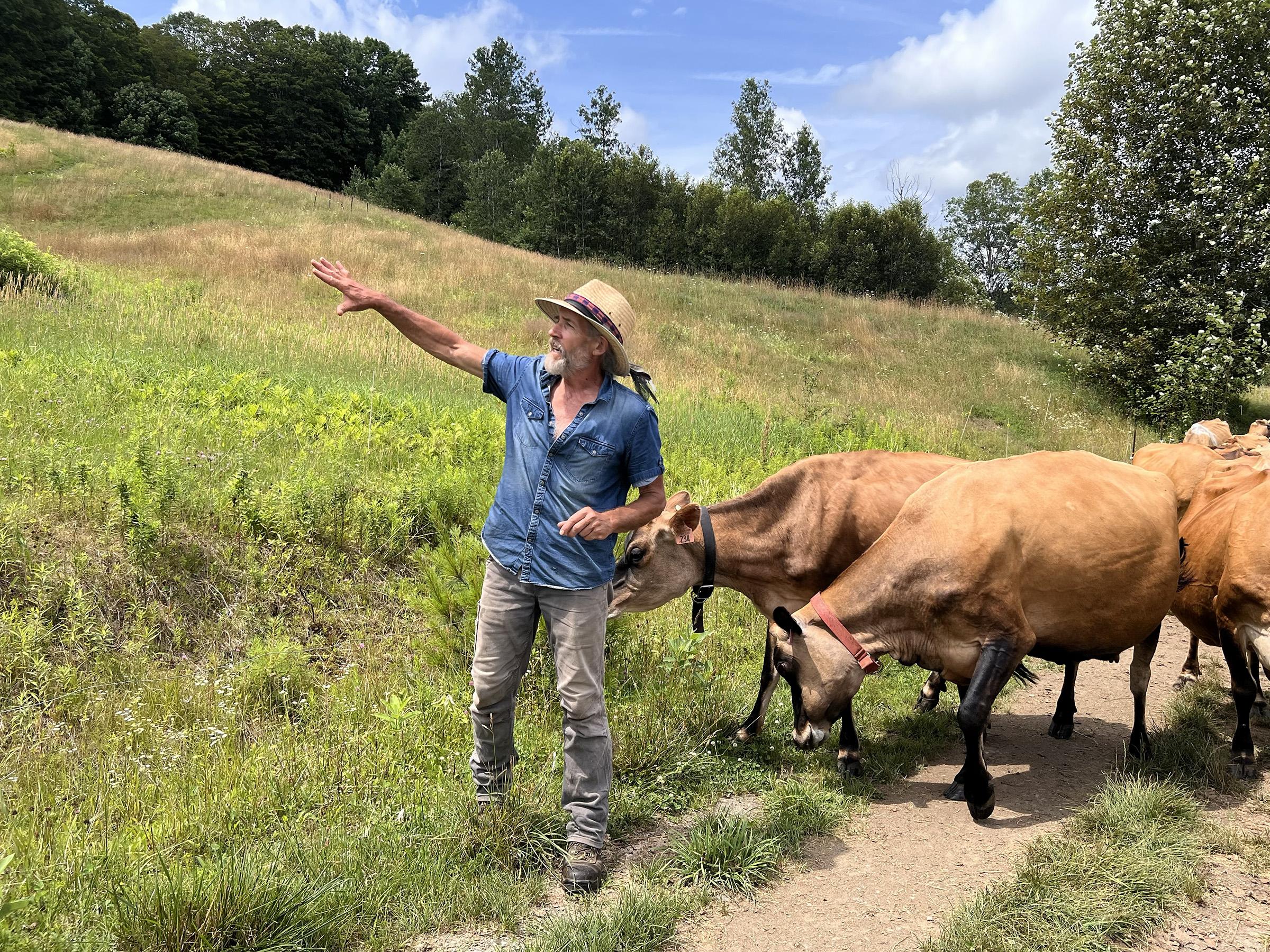 Stephen Leslie, NOFA-VT member and farmer at Cedar Mountain Farm and Cobb Hill Cheese, is shown leading his cows to pasture up a dirt road as he gestures to the green hill-side pasture to his right.