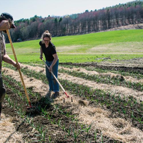 journey farmers