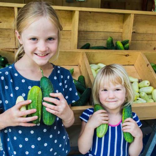 veggies kids
