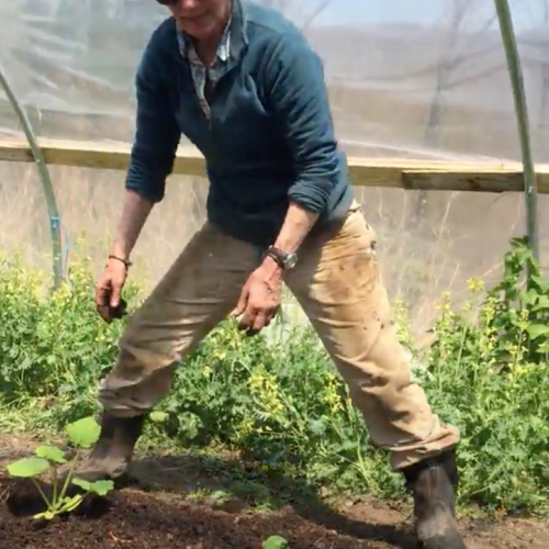 farm update