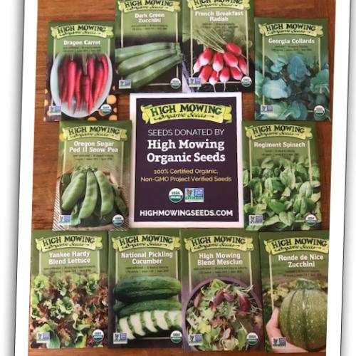 seeds for change