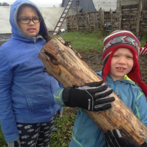 farm to school trip 
