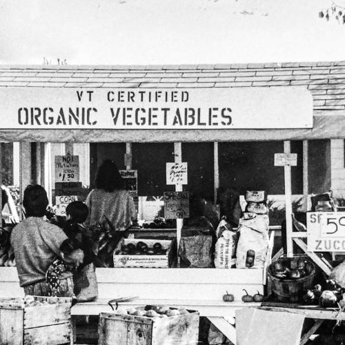 Black and white photo of people standing at a farm stand. The farm stand has a hand-stenciled sign above it that reads "VT Certified Organic Vegetables".