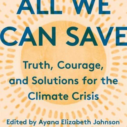 All We Can Save book cover