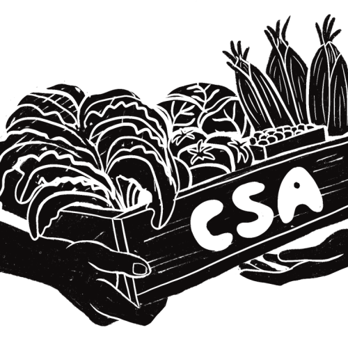 Drawing of a CSA box