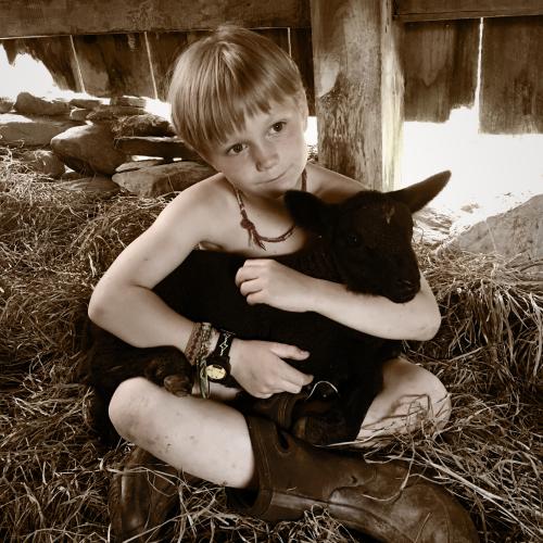 A child hugs a small goat.