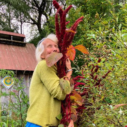 Scout hugs a plant