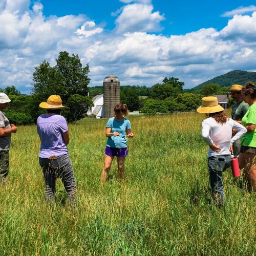 A small group stands in a circle in a pasture.