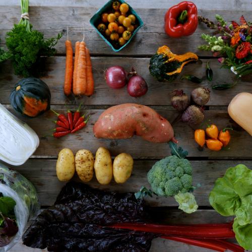 Array of veggies laid out on a table