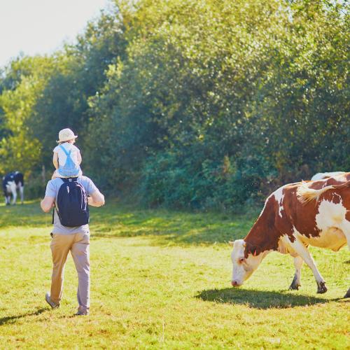 A kid and parent walk by a cow.