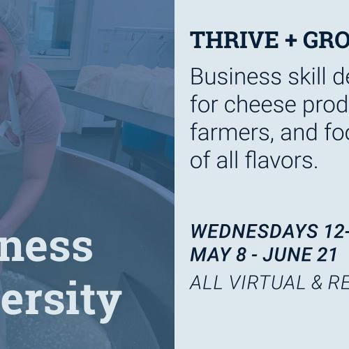 Business miniversity banner
