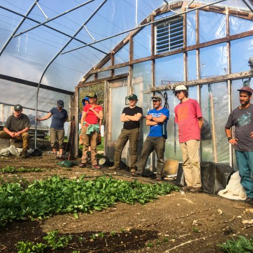 Seven people stand in a greehouse, listening to someone out of frame