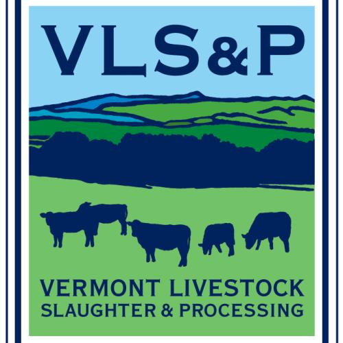 VLSP logo