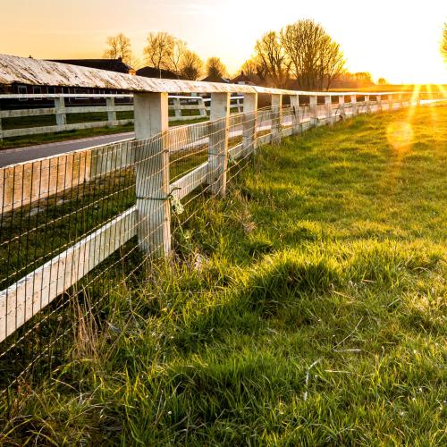 sunrise over a field and farmhouse