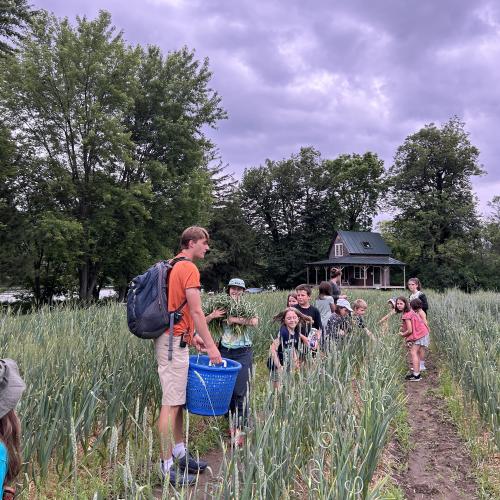 counselor and campers harvesting garlic scapes