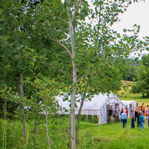 A group of about 12 people of all ages is gathered outside a greenhouse.