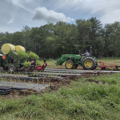 Tractor field work