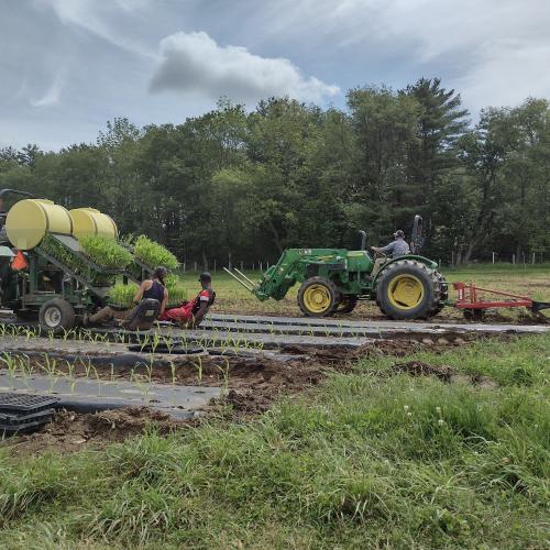 Tractor field work