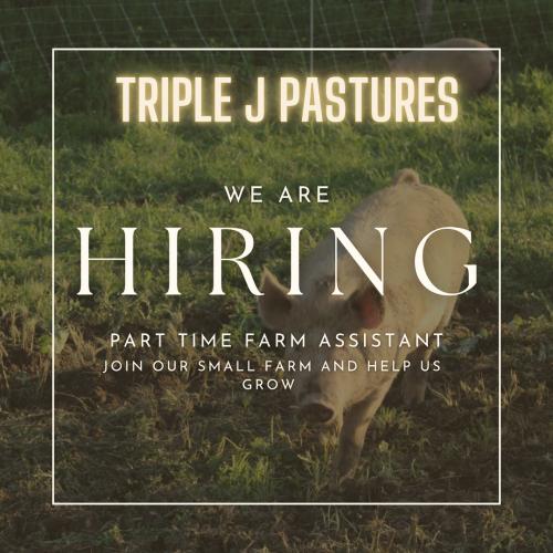 Now hiring 