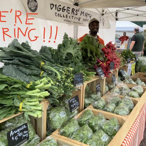 A person smiling broadly standing behind a farmers market stand laden with kale, collards, radishes, and greens. 