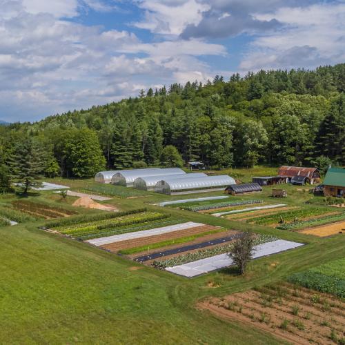 A picture of our farm with several acres of no till vegetables and several acres of cover crops