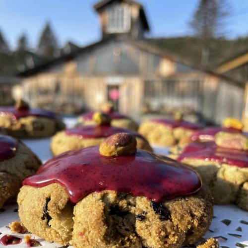 CCF farmstand holiday cookie of the month