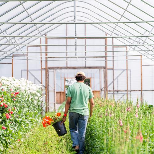 Flower farmer