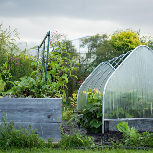 Vegetable garden with raised bed and cold frame