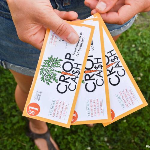 A farmers market customer holding three Crop Cash coupons