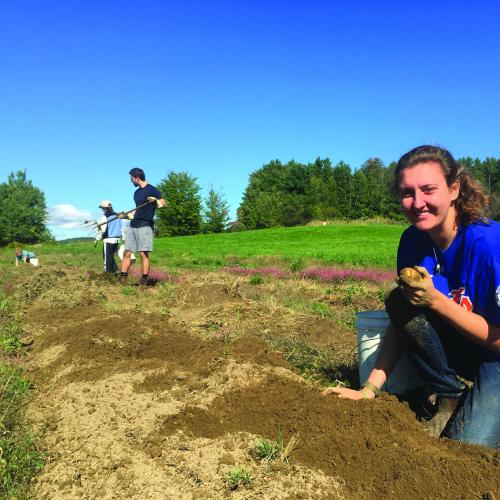 Gleaning Coordinator in the field with volunteers