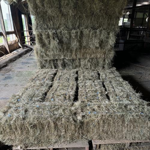 Hay Bales in Stack