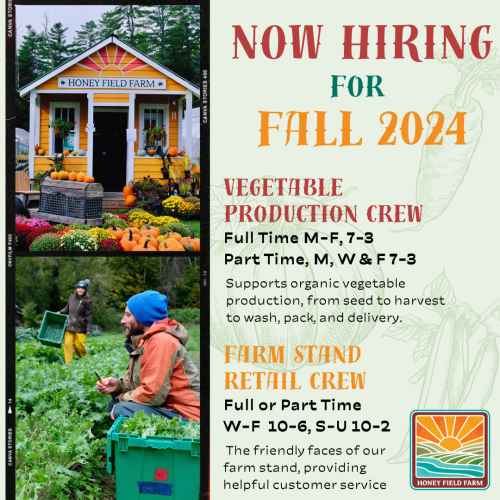 Now Hiring for Fall - Vegetable Production Crew  - Full Time M-F, 7-3. Supports organic vegetable production from seed to harvest to wash, pack and delivery. Honey Field Farm
