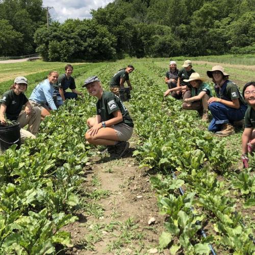 Several VYCC Farm members wear green shirts and are holding vegetable smiling. 