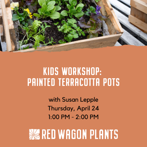 Kids Workshop: Painted Terracotta Pots