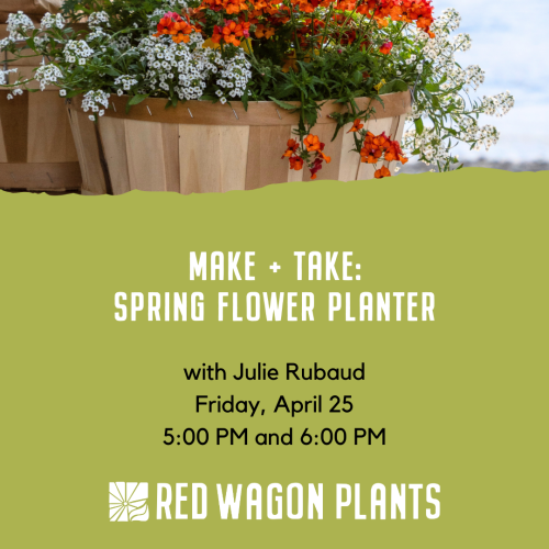 Make + Take: Spring Flower Planter