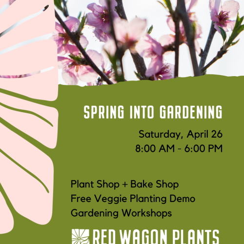 Spring Into Gardening Day