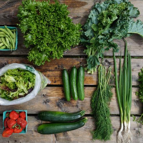 An array of fresh veggies from a CSA Farm Share spread out on a wooden table