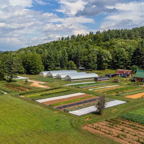 An aerial view of Ananda Gardens farm fields