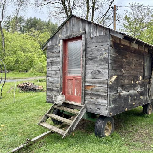Mobile chicken coop
