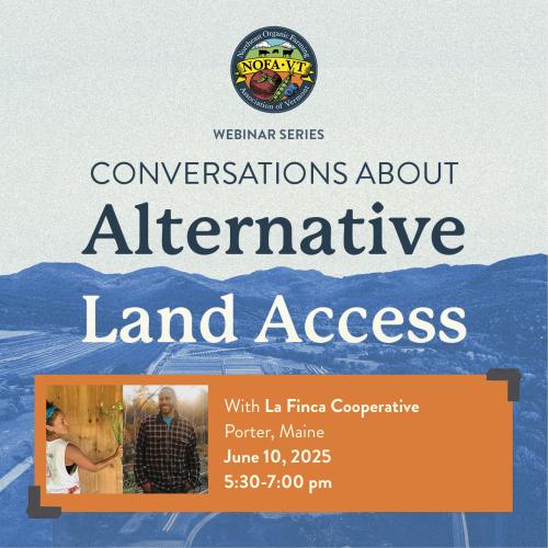 A graphic depicting blue mountains with text above reading "Conversations About Alternative Land Access" and text in an orange box listing the event details