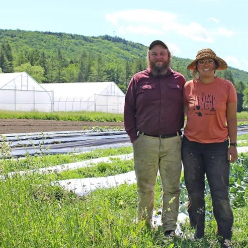 Farmers Gabrielle Tuite and Henry Webb of Old Road Farm stand smiling with their lush organic farm fields and high tunnels in the background