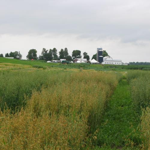 Borderview Research Farm