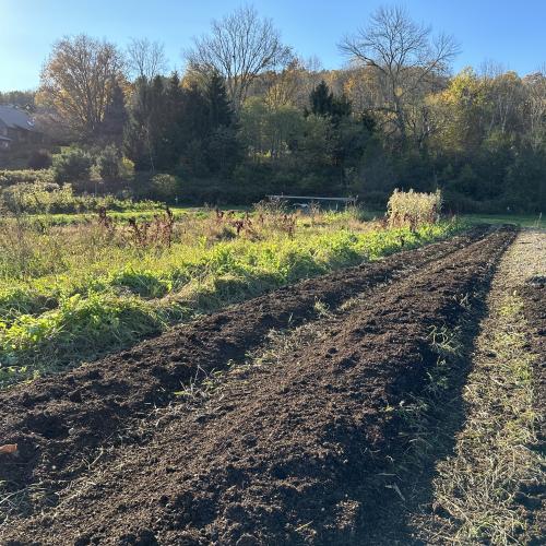 Lush farm fields and dark, rich soil at Cedar Mountain Farm