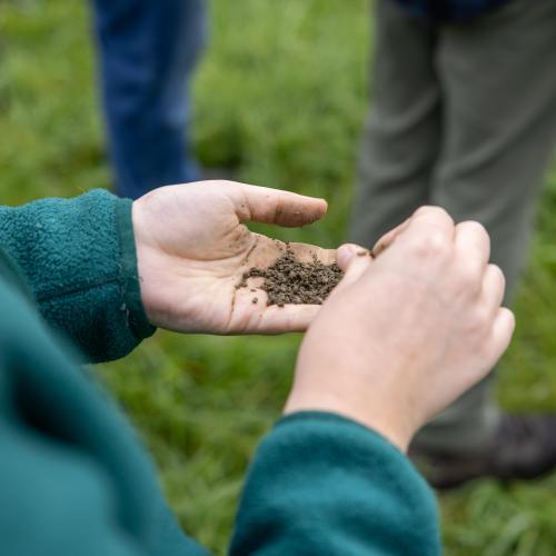 person holds and examines soil