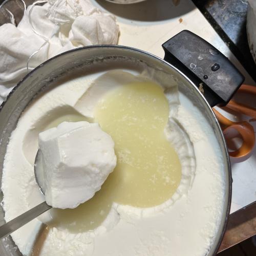 Making  Fromage Blanc