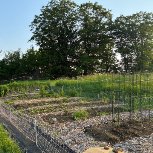 King Farm